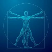 Galleria Wellness Medical ico