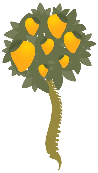 Mango Chiropractic Picture 5