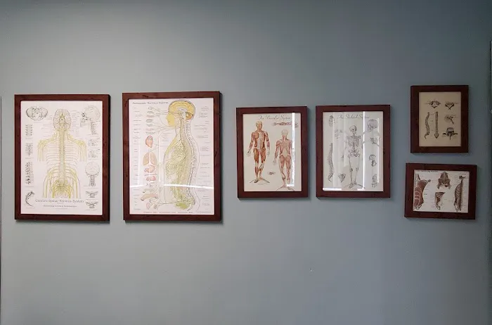 Ando Chiropractic Picture 1