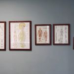 Ando Chiropractic