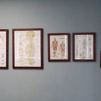 Ando Chiropractic ico
