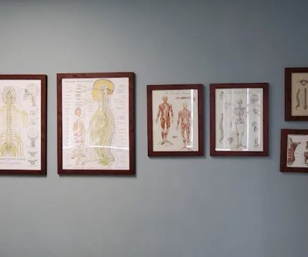 Ando Chiropractic
