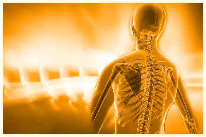 Genesis Family Chiropractic Picture 8