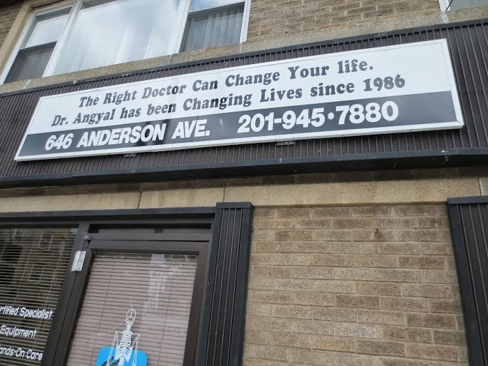 Joel J. Angyal, D.C. Picture 1