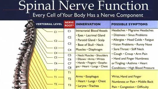 Spine Care Chiropractic, P.C. Picture 3