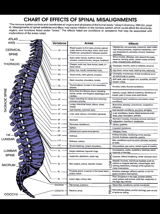 Spine Care Chiropractic, P.C. Picture 8