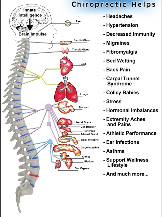 Spine Care Chiropractic, P.C. Picture 9