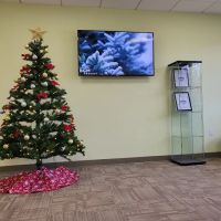 Evergreen Family Chiropractic ico