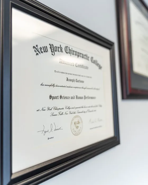 Mandarino Chiropractic - The Bronx, New York Picture 10