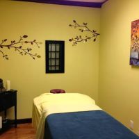 Kennedy Chiropractor Wellness Center ico