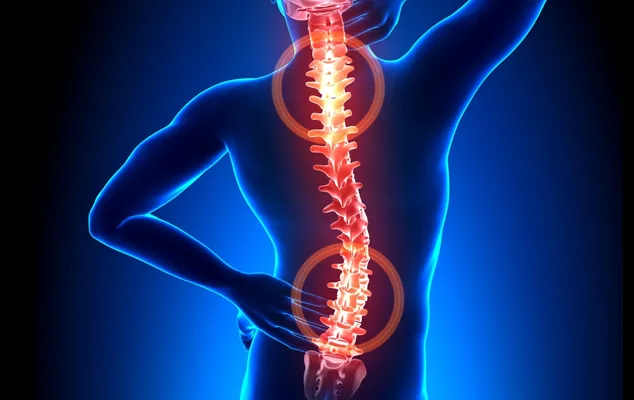 Kennedy Chiropractor Wellness Center Picture 8