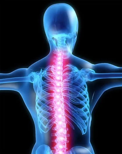Kennedy Chiropractor Wellness Center Picture 7