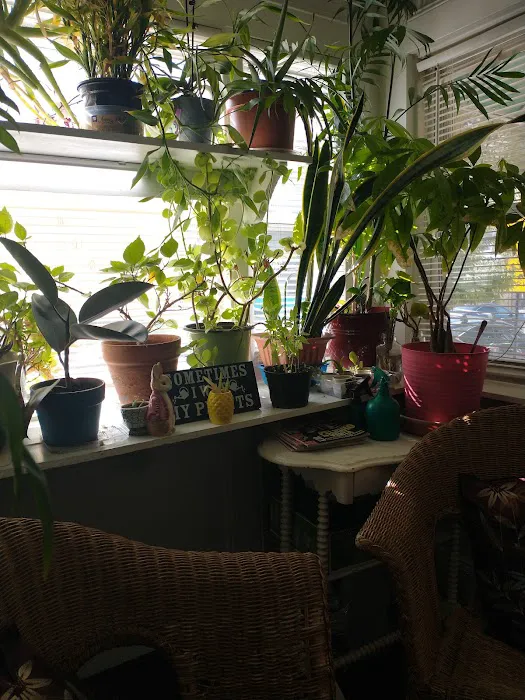 Dr. Jeffrey P. Orlikowski D.C. Picture 1