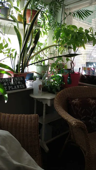 Dr. Jeffrey P. Orlikowski D.C. Picture 4