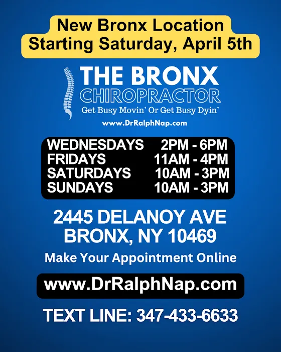 The Bronx Chiropractor - Dr. Ralph Napolitano Picture 10