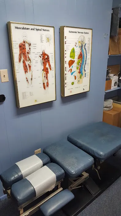 Castle Hill Chiropractic: Dr. Frank S. Lizzio, Chiropractor Picture 1