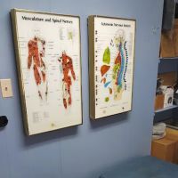 Castle Hill Chiropractic: Dr. Frank S. Lizzio, Chiropractor ico