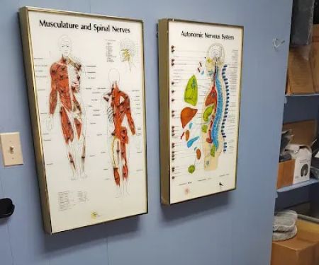 Castle Hill Chiropractic: Dr. Frank S. Lizzio, Chiropractor