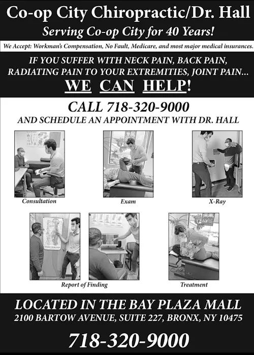 Bay Plaza Chiropractic Picture 1