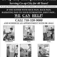 Bay Plaza Chiropractic ico