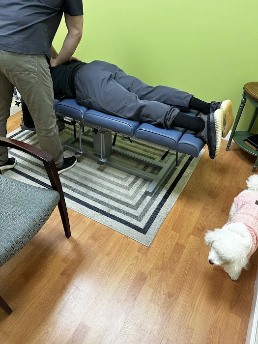 Sayegh Family Chiropractic: Office of Dr. Peter Sayegh Picture 1