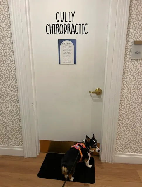Cully Chiropractic Hoboken Picture 9
