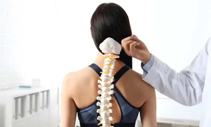 Dynamic Pain Solutions & Chiropractic Picture 5