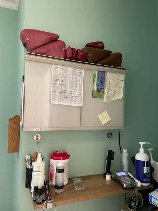 Dr. Jeanette Honig, Chiropractor LLC Picture 2