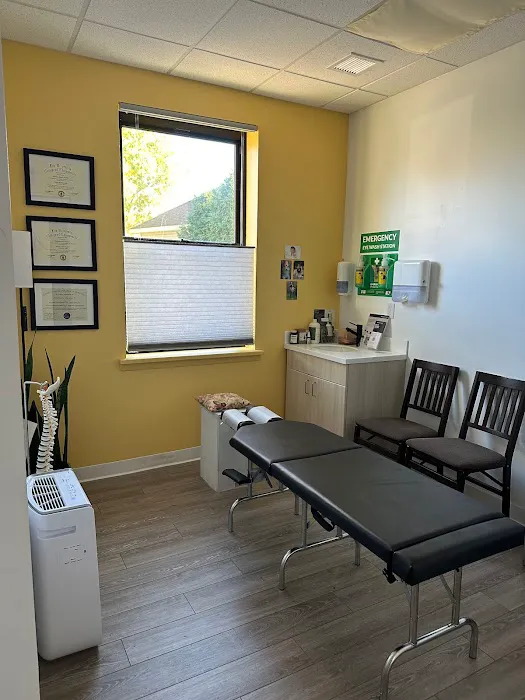 The Homestead Family Chiropractic Picture 3