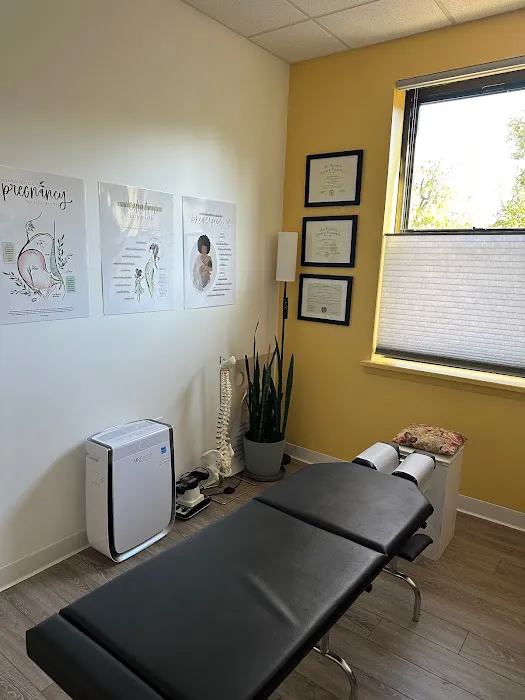 The Homestead Family Chiropractic Picture 5