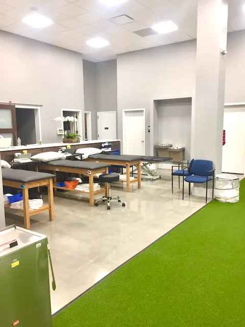 The Spine & Health Center of New Jersey - Closter Picture 3