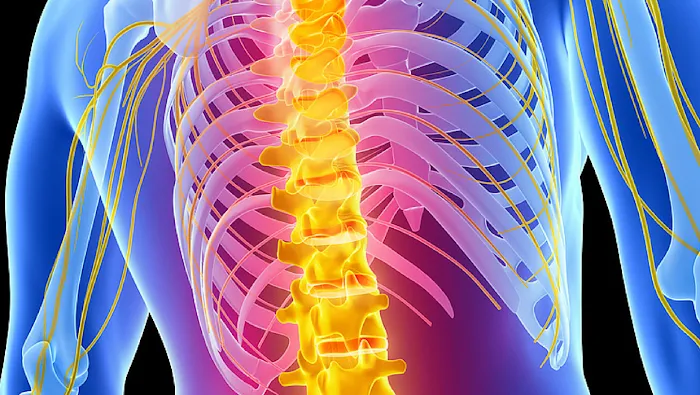 Next Step Chiropractic Picture 2