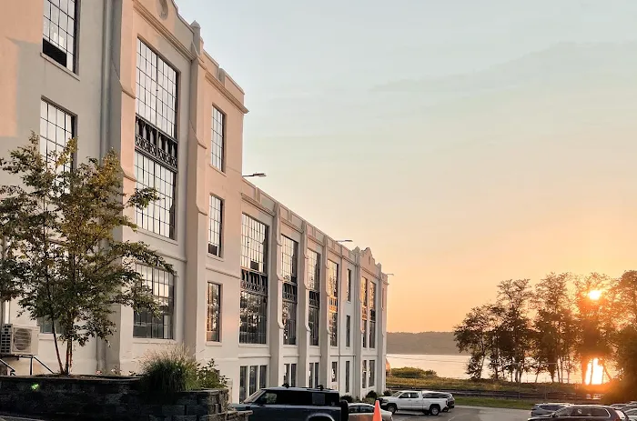 Wellnest Chiropractic and Holistic Center (Dr. Ivana Vargas) Picture 2