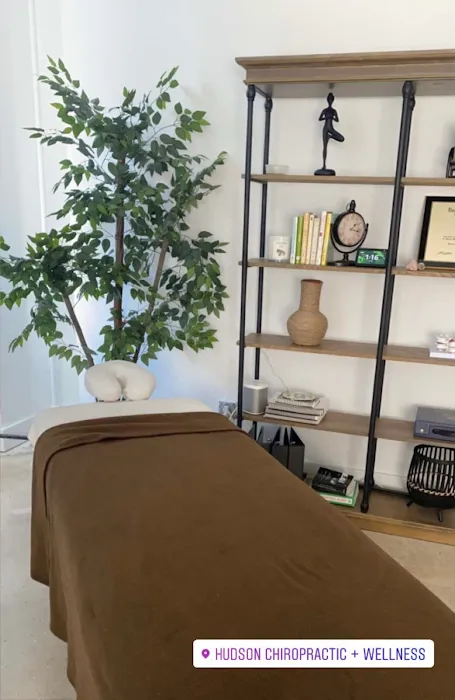 Wellnest Chiropractic and Holistic Center (Dr. Ivana Vargas) Picture 4