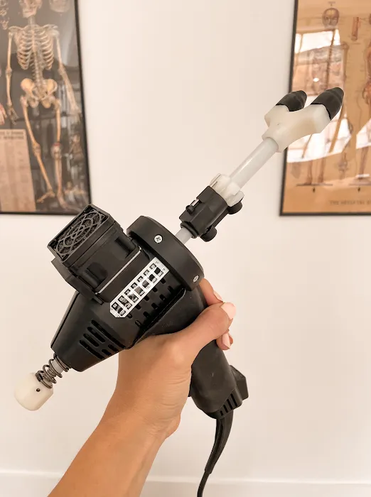 Wellnest Chiropractic and Holistic Center (Dr. Ivana Vargas) Picture 6