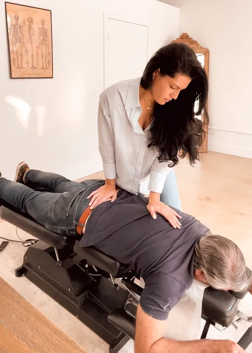 Wellnest Chiropractic and Holistic Center (Dr. Ivana Vargas) Picture 10