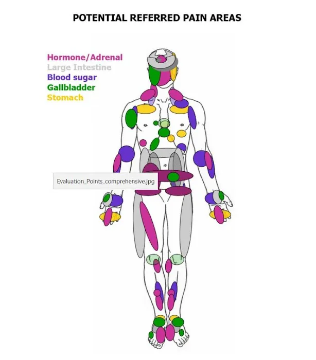 Holistic Health Care- Advanced Chiropractic Techniques and Nutrition Response Testing Picture 6