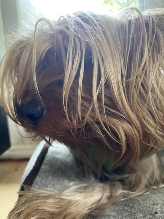 Chiropractic Health Center Picture 1