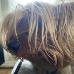 Chiropractic Health Center