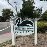 O'Connor Chiropractic ico