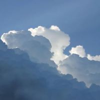 OFW Chiropractic ico