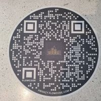 CityChiro ico