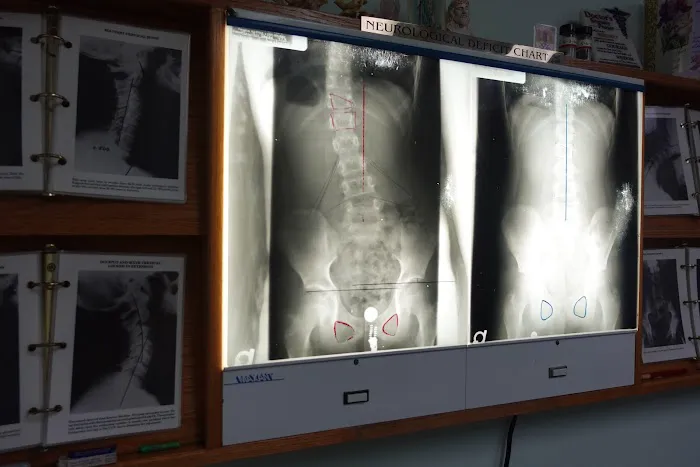 Marinkovic Chiropractic Picture 6