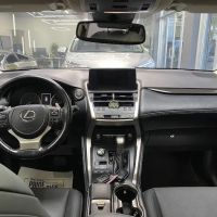 Matteo Chiropractic ico