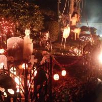 Community Chiropractic ico