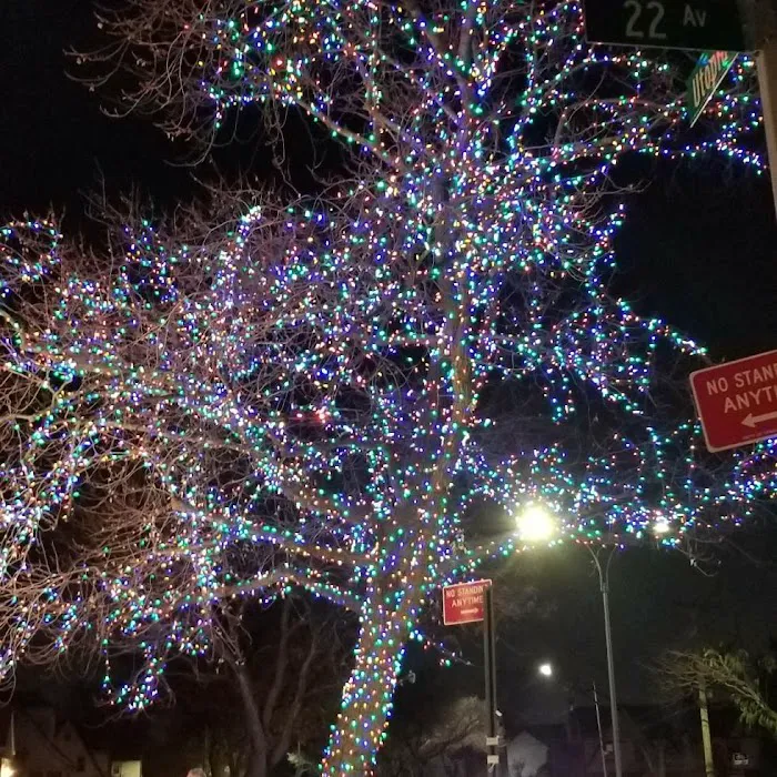 Community Chiropractic of Whitestone - Michael A. Montalbano, DC Picture 6