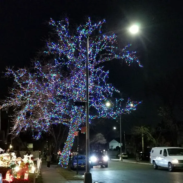 Community Chiropractic of Whitestone - Michael A. Montalbano, DC Picture 8