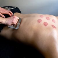 Harrison Chiropractic ico