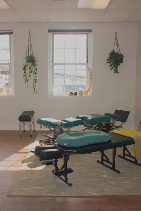 Carol A. Donohue, D.C. Picture 4