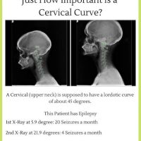 William Thimmel D.C. ico